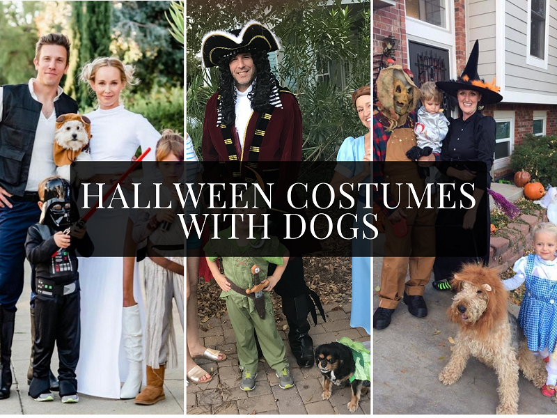 Halloween costumes with dogs by Cute Munchkin