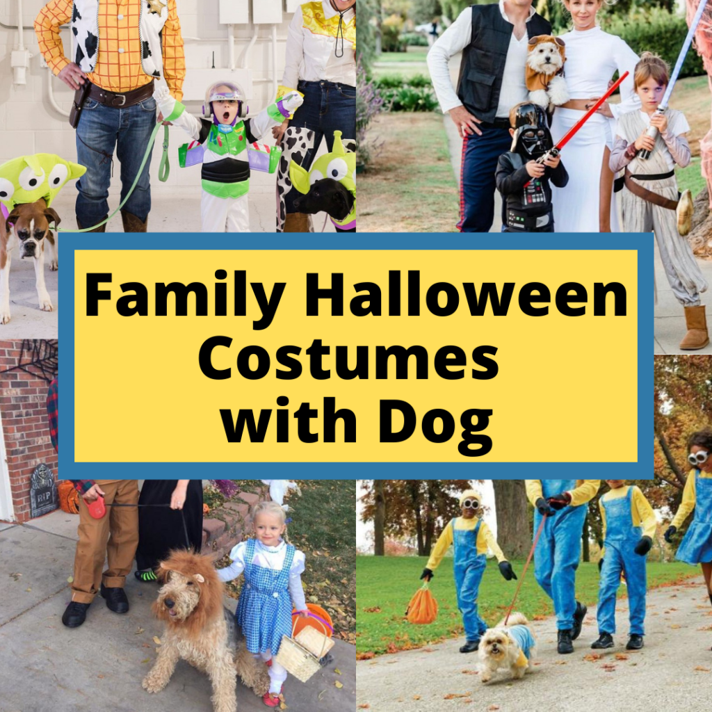 Fun And Easy Family Halloween Costumes With Baby Fun And Easy Family Halloween Costumes With Baby