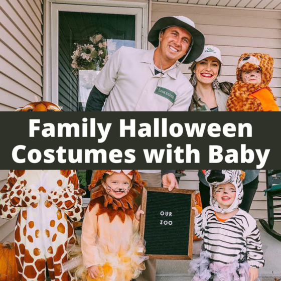 Fun and Easy Family Halloween Costumes with Baby!