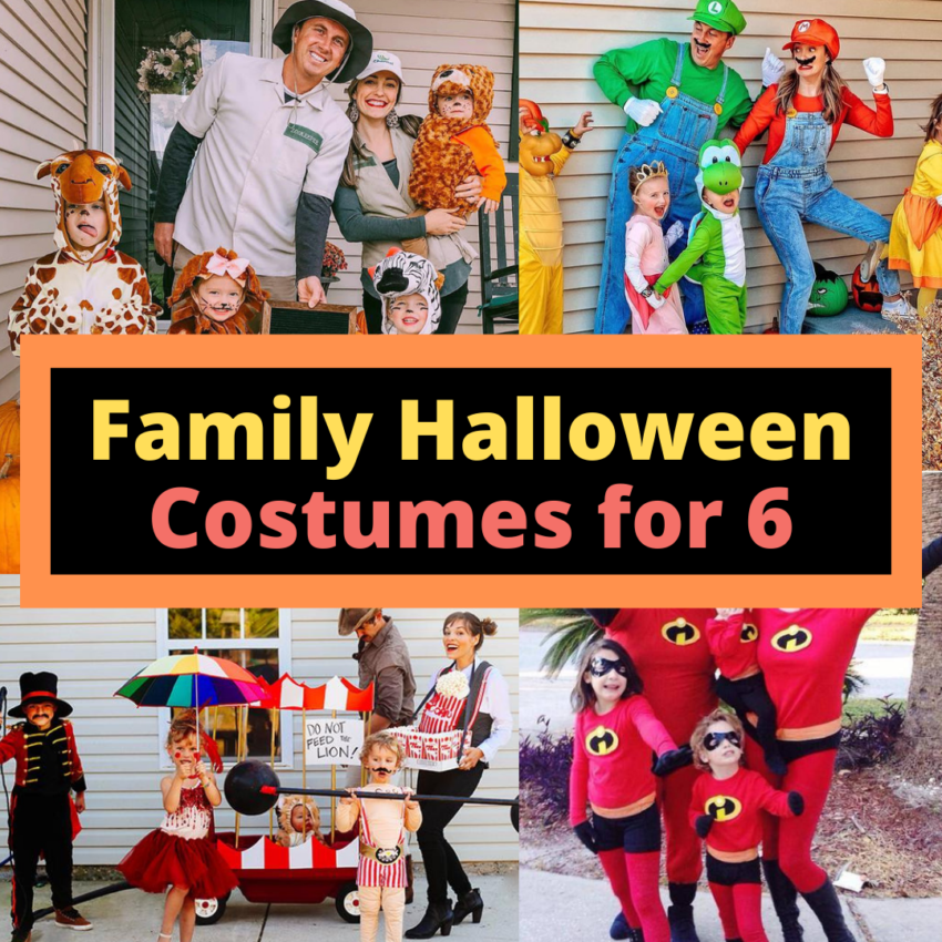 easy family Halloween costumes for 6 on Amazon